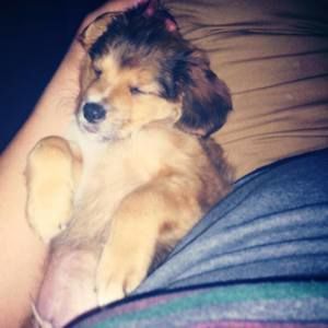 Meet your Posher, Fabian